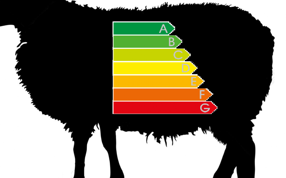 Junta Castilla y León (ITACYL)