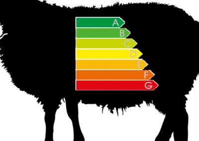Junta Castilla y León (ITACYL)